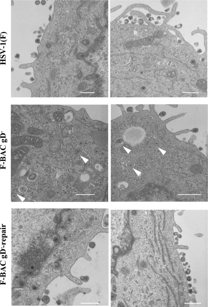 FIG 11