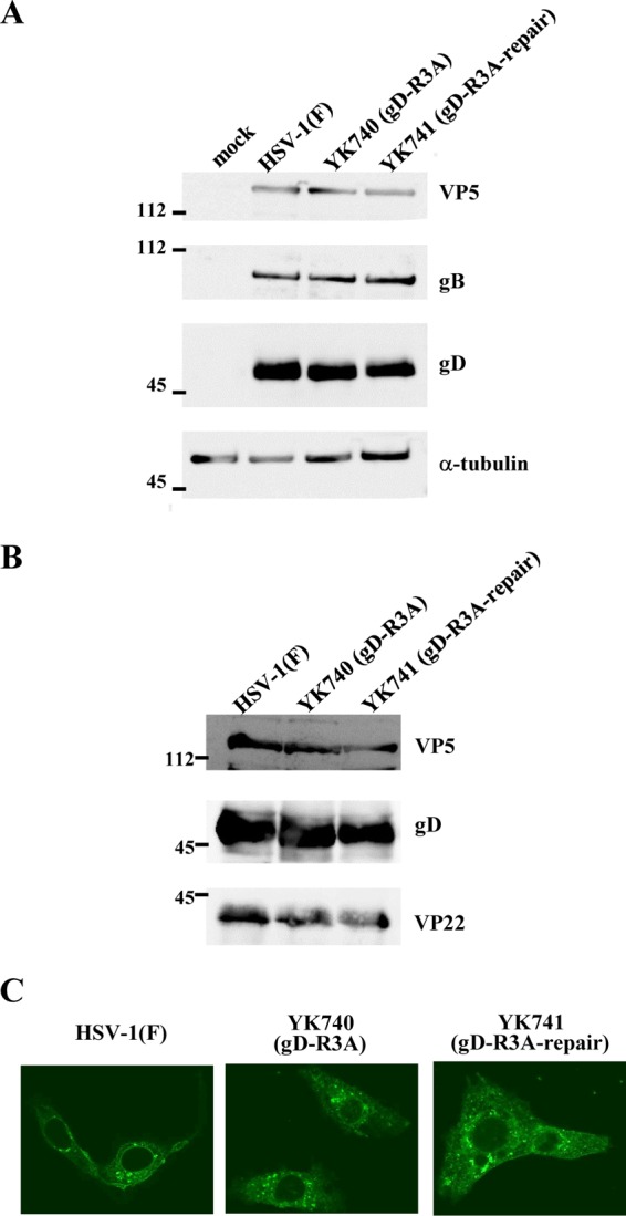 FIG 6