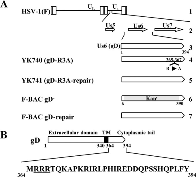 FIG 1