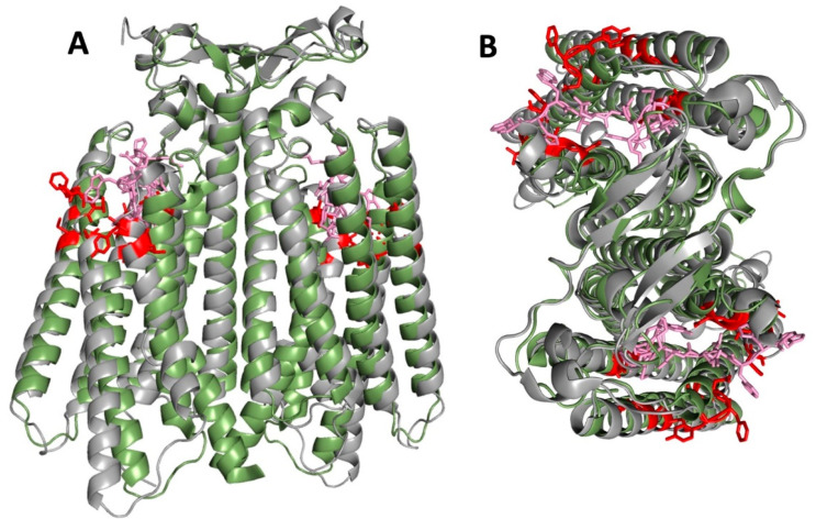 Figure 10