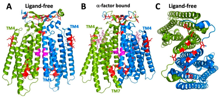 Figure 9