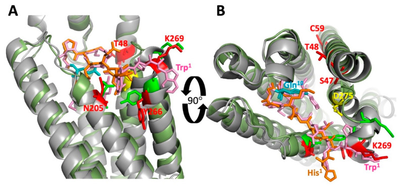 Figure 6