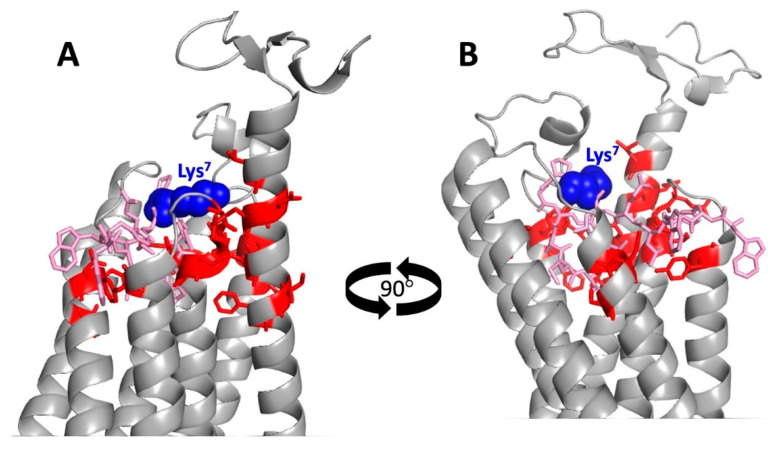 Figure 7