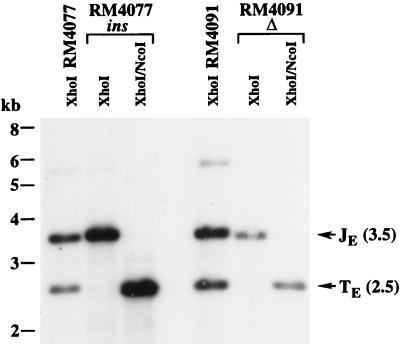 FIG. 5