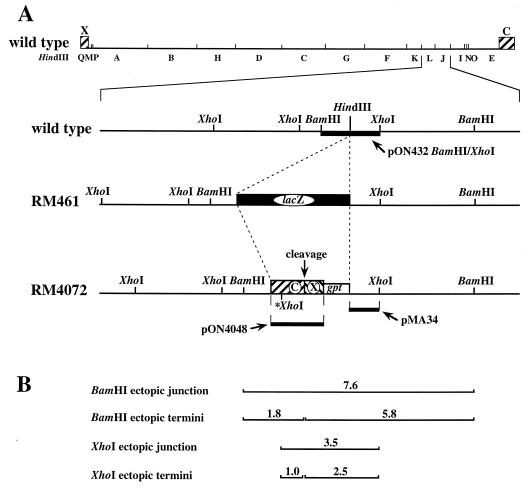 FIG. 1