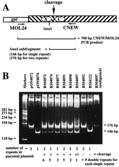 FIG. 6