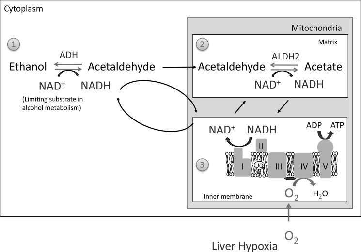 FIGURE 10.