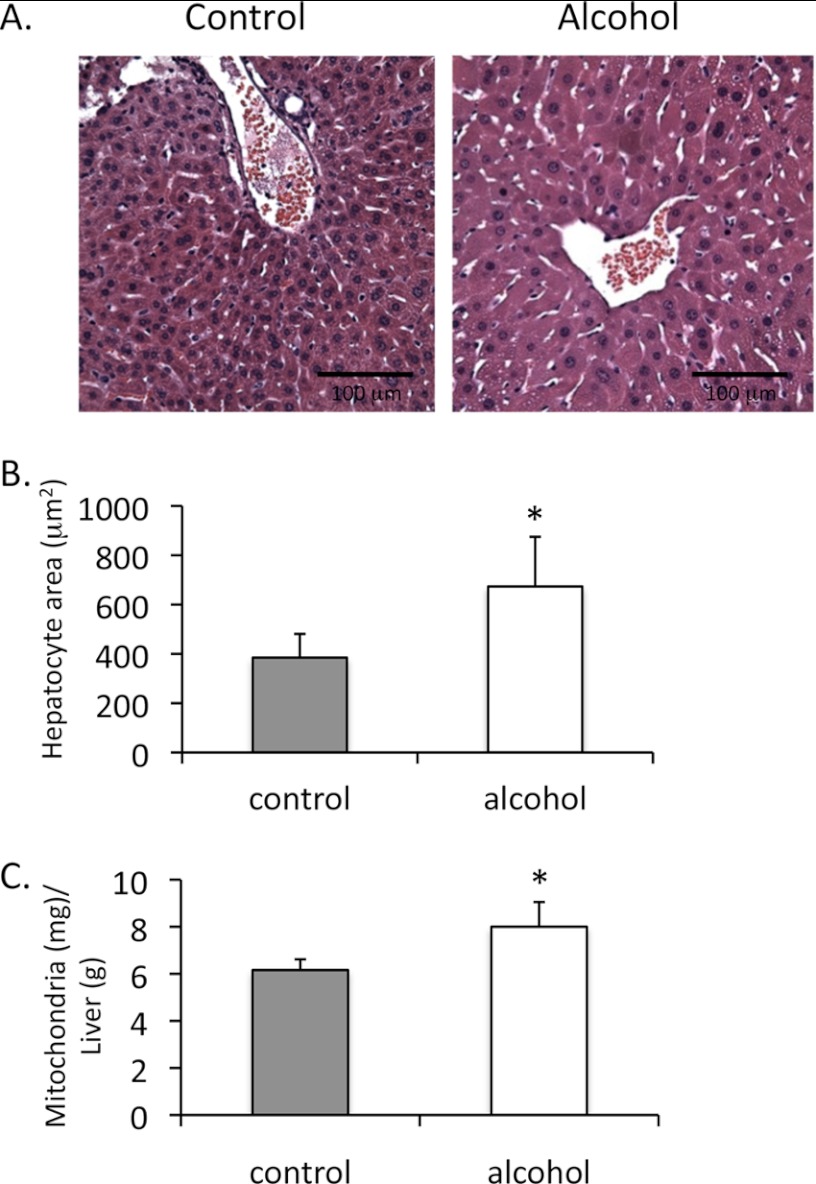 FIGURE 7.