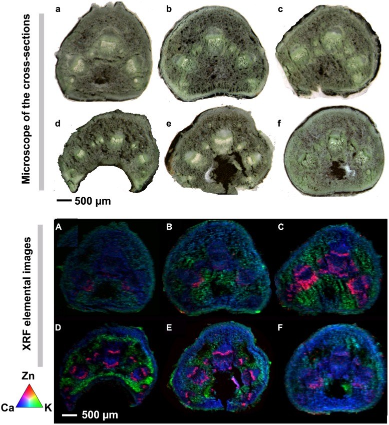 FIGURE 2