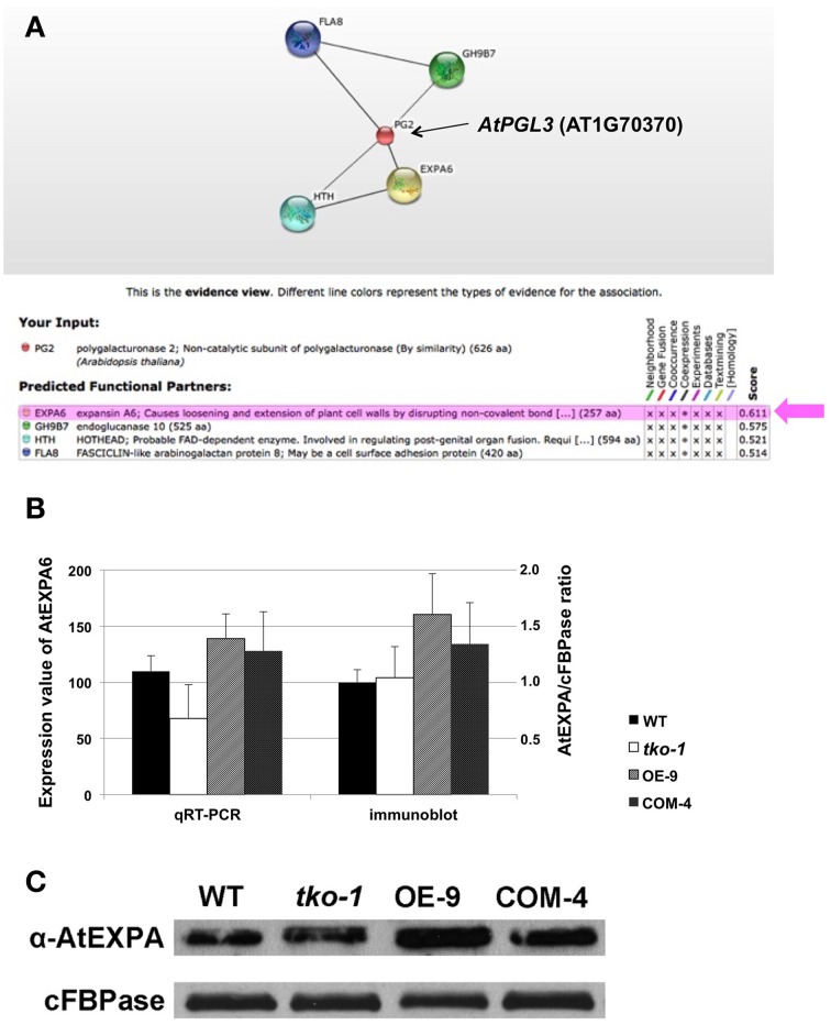 Figure 6