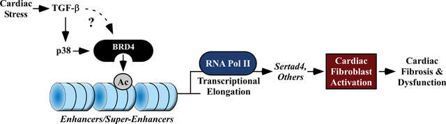 graphic file with name nihms-1537451-f0023.jpg