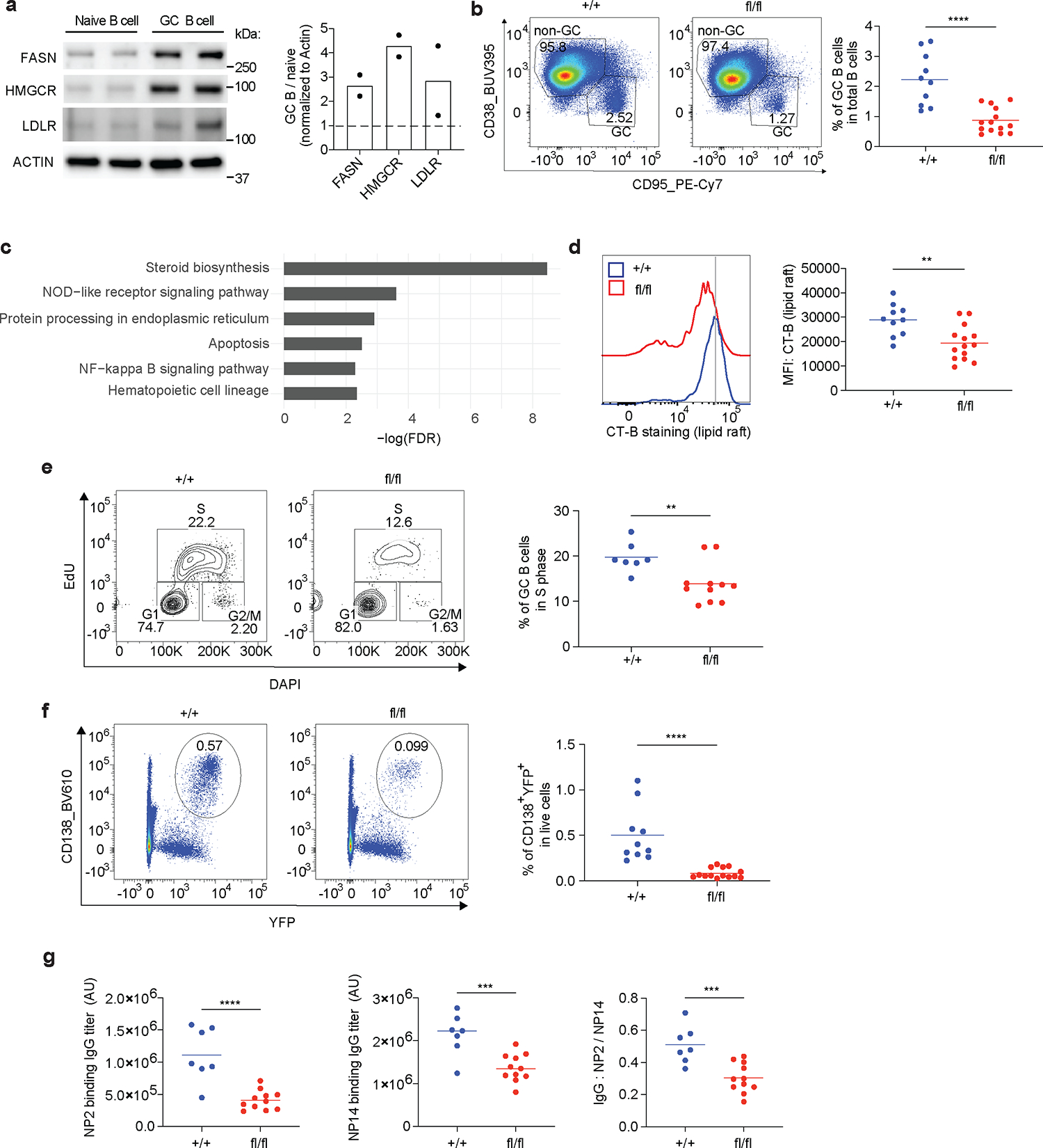 Fig.6 |