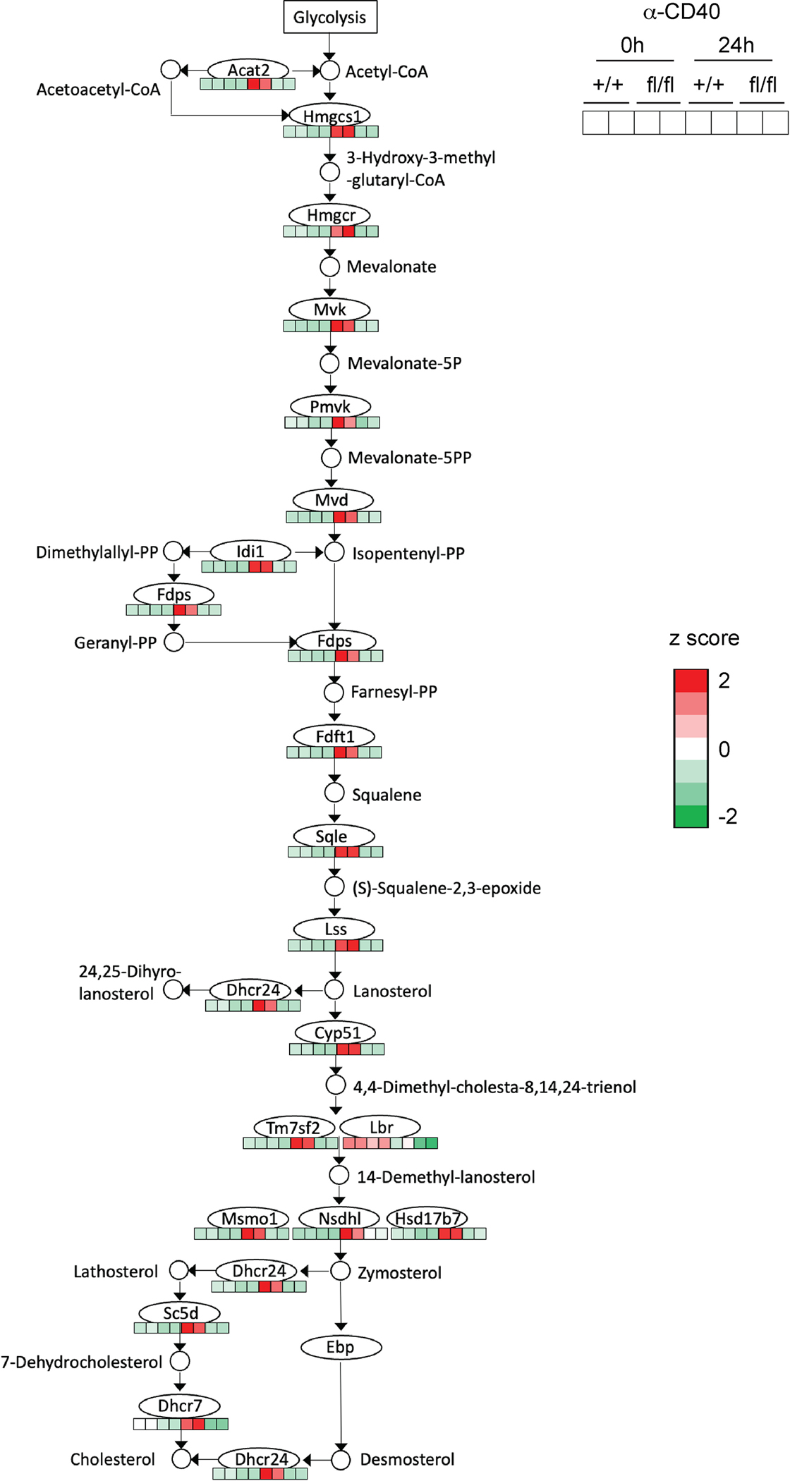 Extended Data Fig. 5