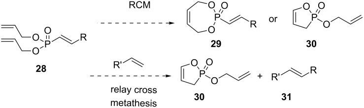 Scheme 8