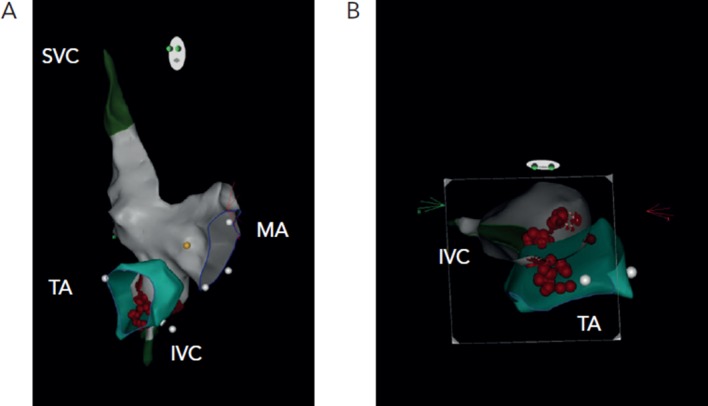 Figure 2: