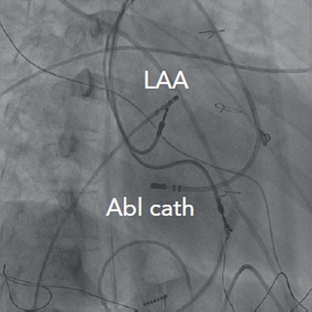 Figure 3: