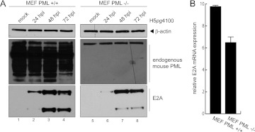 Fig 9