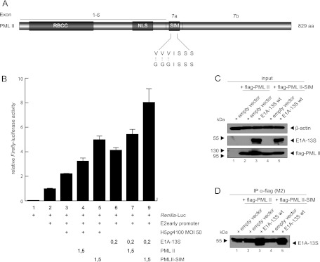 Fig 10