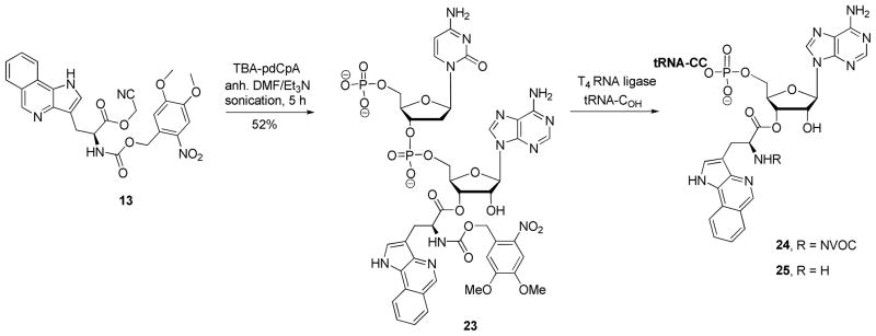 Scheme 4