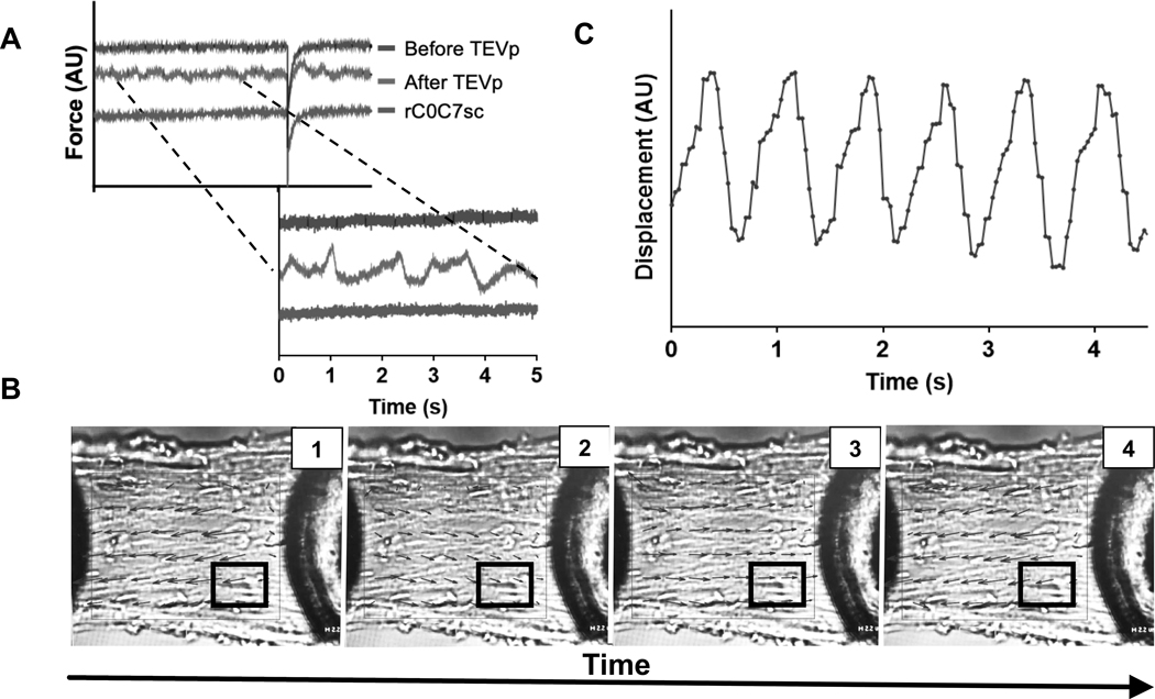 Figure 5.