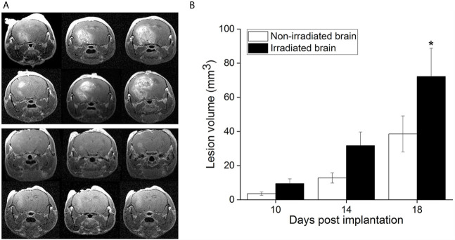 Figure 1