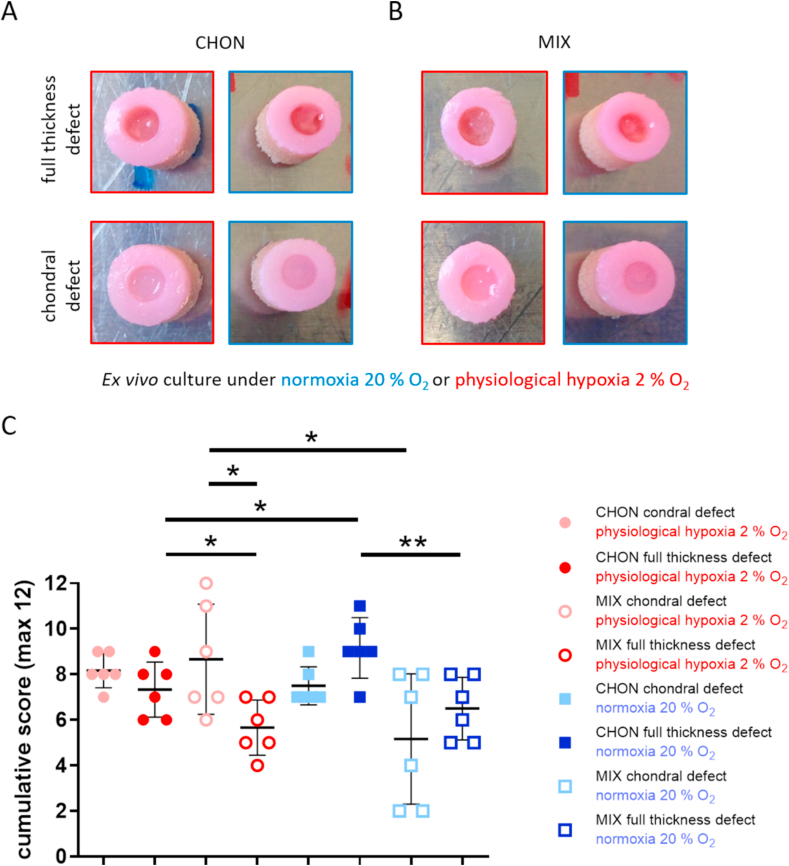 Fig. 4