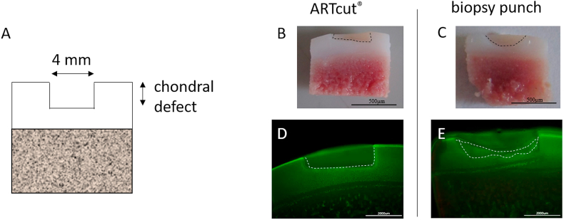 Fig. 3