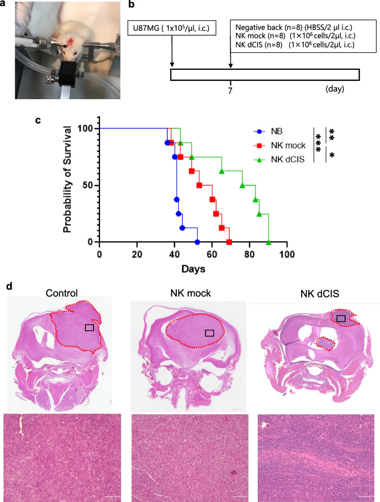 Fig. 8