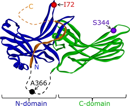 FIGURE 1.