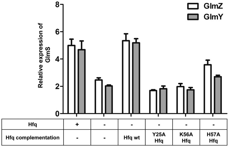 Figure 5.