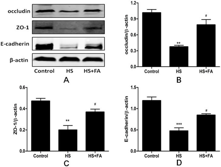 Fig 10