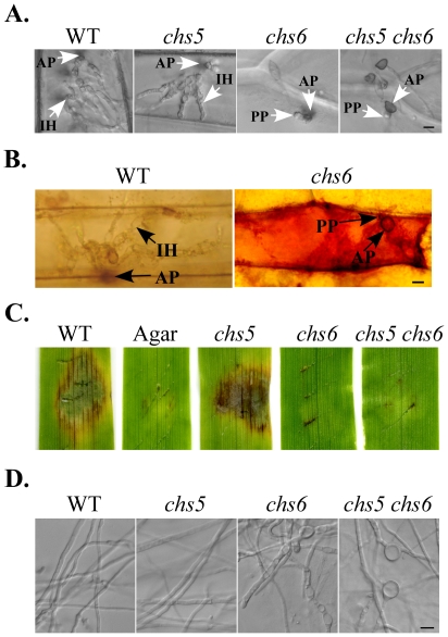 Figure 13