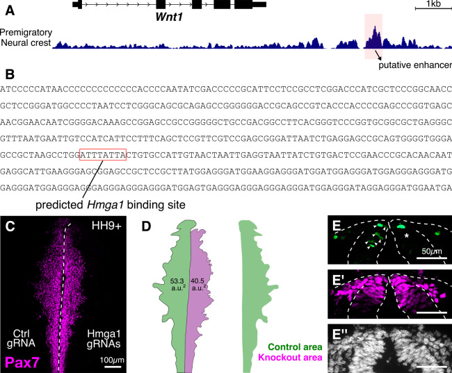 Figure 6—figure supplement 1.