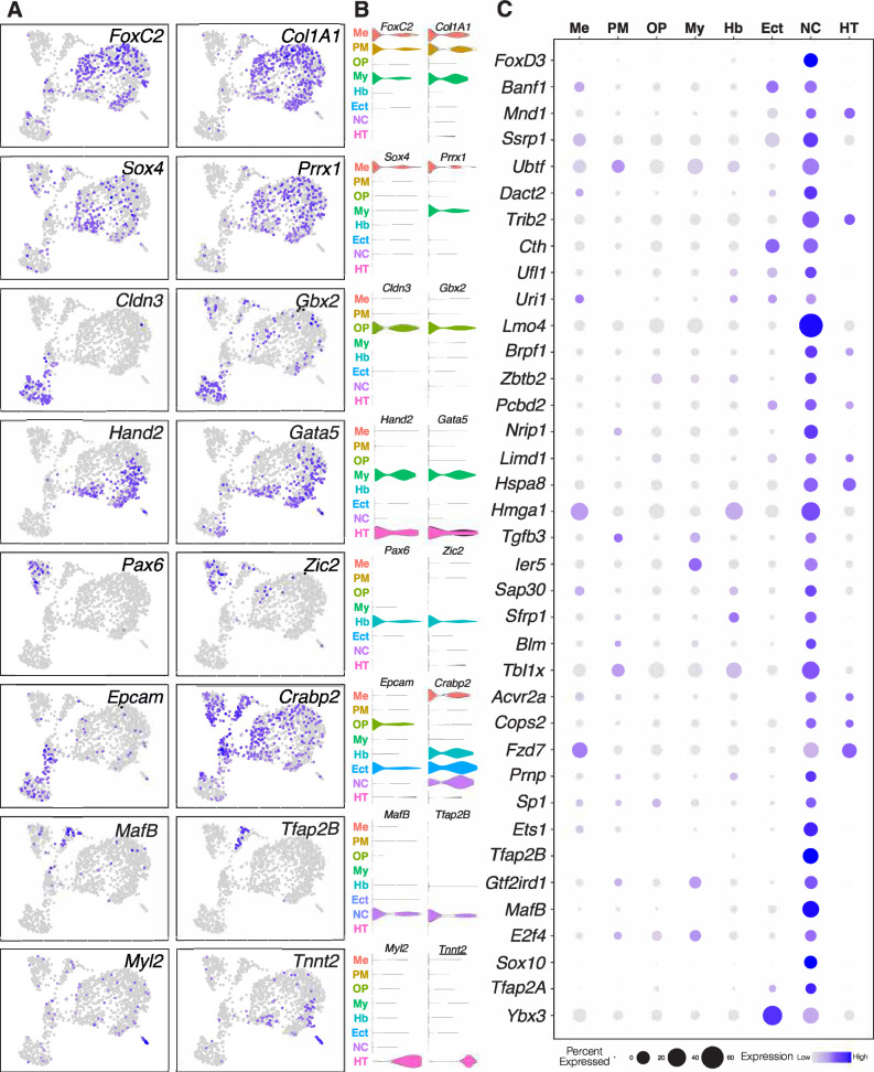 Figure 1—figure supplement 2.