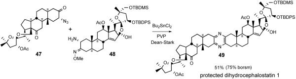 Scheme 18