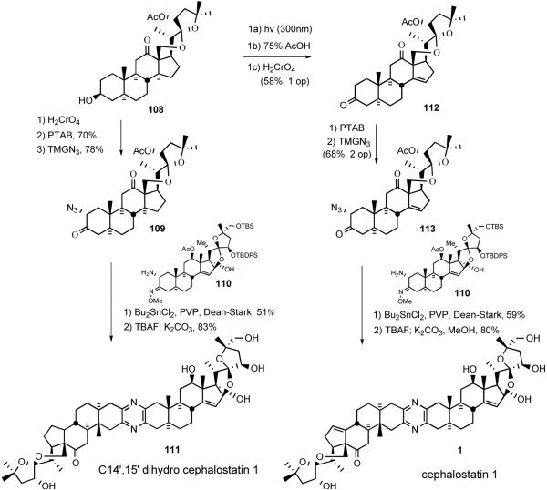 Scheme 28