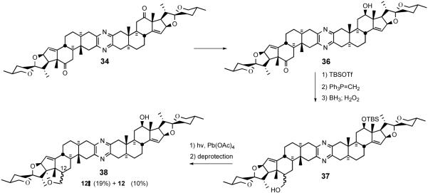 Scheme 12