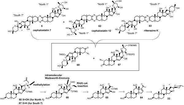 Scheme 21