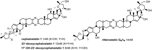 Figure 20