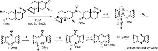 Scheme 17