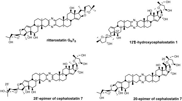 Figure 12