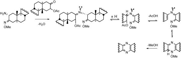 Scheme 9