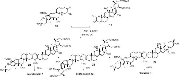 Scheme 7