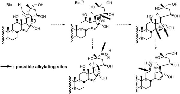 Scheme 38