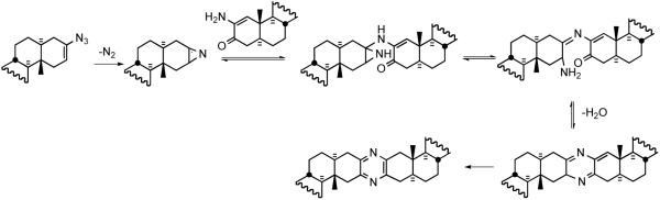 Scheme 14