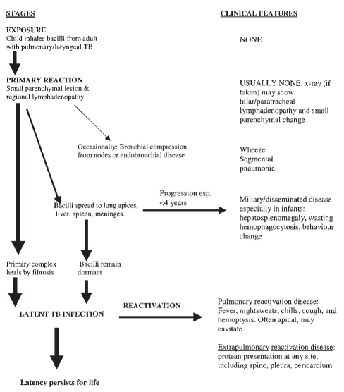 Figure 1)