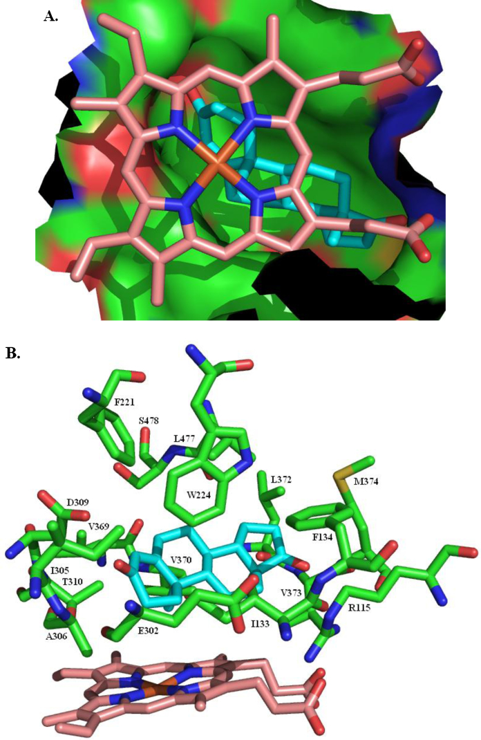 Fig. 20