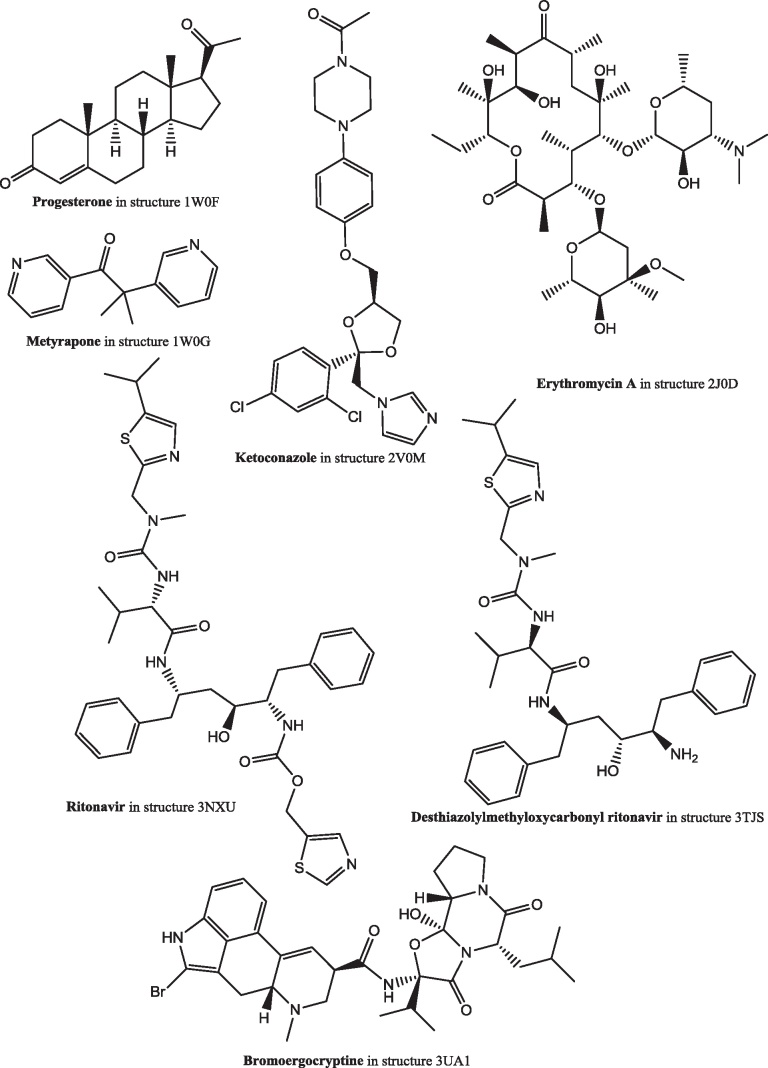 Fig. 24