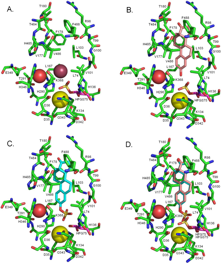 Fig. 12