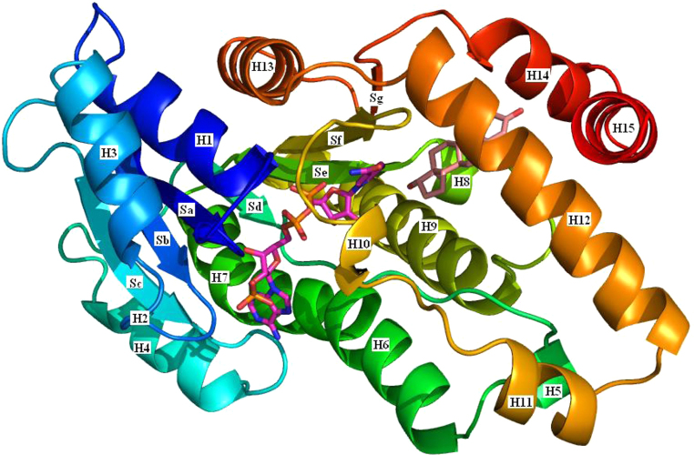 Fig. 15